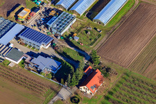 Gommersheim dans le département Rhénanie-Palatinat, Allemagne vu d'un drone
