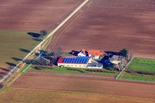 Vue aérienne de Binsenhof à Zeiskam dans le département Rhénanie-Palatinat, Allemagne