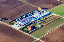 Vue aérienne de Hortulanushof à Zeiskam dans le département Rhénanie-Palatinat, Allemagne