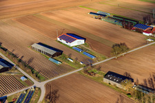 Photographie aérienne de Fermes d'émigrants vers Rülzheim à Hördt dans le département Rhénanie-Palatinat, Allemagne