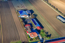 Vue oblique de Fermes d'émigrants vers Rülzheim à Hördt dans le département Rhénanie-Palatinat, Allemagne