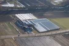Vue aérienne de Jardinage/boutique biologique à le quartier Herxheim in Herxheim bei Landau dans le département Rhénanie-Palatinat, Allemagne