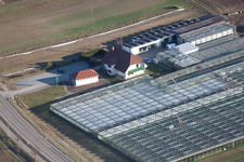 Vue aérienne de Jardinage/boutique biologique à le quartier Herxheim in Herxheim bei Landau dans le département Rhénanie-Palatinat, Allemagne