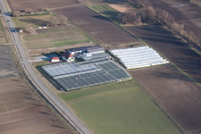 Photographie aérienne de Jardinage/boutique biologique à le quartier Herxheim in Herxheim bei Landau dans le département Rhénanie-Palatinat, Allemagne