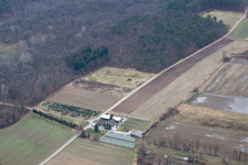 Vue aérienne de Jardiner à Erlenbach à Erlenbach bei Kandel dans le département Rhénanie-Palatinat, Allemagne