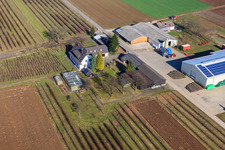 Photographie aérienne de Le jardin de Bauer à Winden dans le département Rhénanie-Palatinat, Allemagne