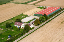 Vue aérienne de Ferme équestre à Steinweiler dans le département Rhénanie-Palatinat, Allemagne