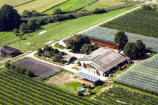Lindenhof : Ferme de fruits et d'asperges de Gensheimer à Steinweiler dans le département Rhénanie-Palatinat, Allemagne depuis l'avion
