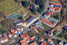 Schwanheim dans le département Rhénanie-Palatinat, Allemagne vue d'en haut