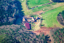 Photographie aérienne de Bärenbrunnerhof à Busenberg dans le département Rhénanie-Palatinat, Allemagne