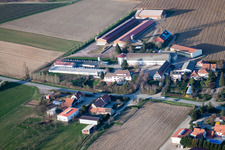 Vue aérienne de Steinseltz dans le département Bas Rhin, France