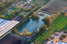 Vue aérienne de Étang de l'Association de pêche sportive d'Herxheim à Herxheim bei Landau dans le département Rhénanie-Palatinat, Allemagne