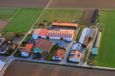 Vue aérienne de Matthias Knecht Entreprise agricole à Herxheim bei Landau dans le département Rhénanie-Palatinat, Allemagne