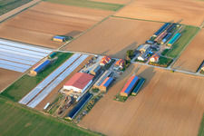 Vue aérienne de L'agriculteur Kerner Andreas à Am Wingertsberg à Herxheim bei Landau dans le département Rhénanie-Palatinat, Allemagne