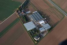Vue aérienne de Korntal-Münchingen, fermes sur Birkemer Weg à Ditzingen dans le département Bade-Wurtemberg, Allemagne