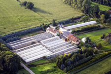 Vue aérienne de Zones de toit en verre dans les rangées de serres pour la culture de fleurs à le quartier Steinbach in Baden-Baden dans le département Bade-Wurtemberg, Allemagne