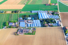 Photographie aérienne de Crèche Appich à Kleines Fedle à Möglingen dans le département Bade-Wurtemberg, Allemagne