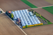 Vue oblique de Crèche Appich à Kleines Fedle à Möglingen dans le département Bade-Wurtemberg, Allemagne