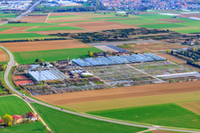 Vue aérienne de Plantes vivaces et ligneuses Häussermann, Dans le champ de maïs à Möglingen dans le département Bade-Wurtemberg, Allemagne