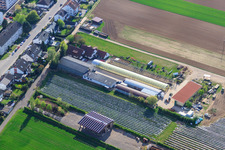 Vue aérienne de Ferme biologique Kugelmann sur Sonnenweg à Kandel dans le département Rhénanie-Palatinat, Allemagne
