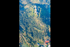 Vue d'oiseau de Ruine Alt-Dahn à Dahn dans le département Rhénanie-Palatinat, Allemagne