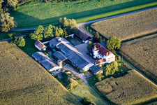 Vue aérienne de Ludwigsau sur le Rhin à le quartier Maximiliansau in Wörth am Rhein dans le département Rhénanie-Palatinat, Allemagne