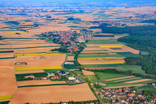 De l'est à Niederlauterbach dans le département Bas Rhin, France