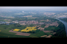 Vue aérienne de Les rives du Rhin à le quartier Rheinsheim in Philippsburg dans le département Bade-Wurtemberg, Allemagne