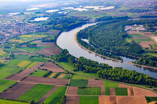 Vue aérienne de Altlußheimer Altrhein au niveau de la courbe du Rhin de Spire à Speyer dans le département Rhénanie-Palatinat, Allemagne
