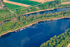 Vue aérienne de Embarcadère du club de voile Otterstadt (SCO), terrain du club à Otterstadt Althrein à Otterstadt dans le département Rhénanie-Palatinat, Allemagne