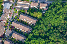 Vue aérienne de Défrichement forestier à le quartier Rheinau in Mannheim dans le département Bade-Wurtemberg, Allemagne
