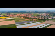 Vue aérienne de Panorama du village vu du nord-ouest à Rheinzabern dans le département Rhénanie-Palatinat, Allemagne