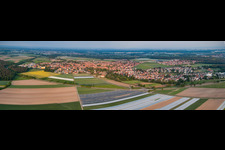 Vue aérienne de Perspective panoramique des champs agricoles et des terres agricoles à Rheinzabern dans le département Rhénanie-Palatinat, Allemagne
