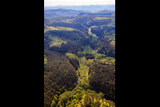 Vue aérienne de Vallée de Mühlbachtal à Eppenbrunn dans le département Rhénanie-Palatinat, Allemagne