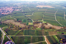 Vue aérienne de Petit Kalmit à Ilbesheim bei Landau in der Pfalz dans le département Rhénanie-Palatinat, Allemagne