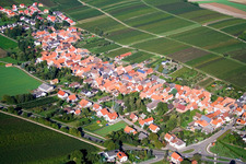 Vue aérienne de Vignobles à Niederhorbach dans le département Rhénanie-Palatinat, Allemagne
