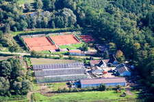 Vue aérienne de Waldhof Frey et court de tennis à Bienwald à Steinfeld dans le département Rhénanie-Palatinat, Allemagne