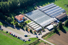 Terre de cactus à Steinfeld dans le département Rhénanie-Palatinat, Allemagne d'en haut