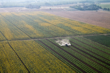 Vue aérienne de Alberoro dans le département Toscane, Italie