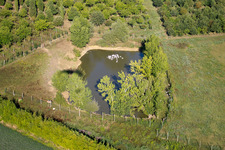Photographie aérienne de Creti dans le département Toscane, Italie