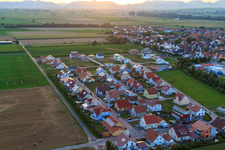 Vue aérienne de Nouvelle zone de développement Siedlerweg Brotäcker à Steinweiler dans le département Rhénanie-Palatinat, Allemagne