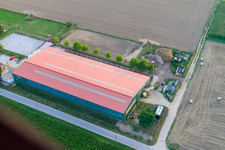 Centre équestre Fohlenhof à Steinweiler dans le département Rhénanie-Palatinat, Allemagne vu d'un drone