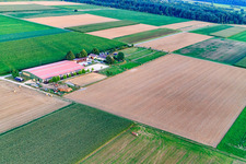 Vue aérienne de Centre équestre Fohlenhof à Steinweiler dans le département Rhénanie-Palatinat, Allemagne