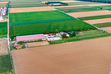 Centre équestre Fohlenhof à Steinweiler dans le département Rhénanie-Palatinat, Allemagne d'en haut