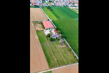 Enregistrement par drone de Centre équestre Fohlenhof à Steinweiler dans le département Rhénanie-Palatinat, Allemagne