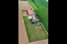 Vue aérienne de Ferme d'élevage de poulains à Steinweiler dans le département Rhénanie-Palatinat, Allemagne