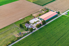 Image drone de Centre équestre Fohlenhof à Steinweiler dans le département Rhénanie-Palatinat, Allemagne