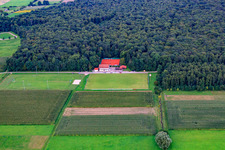 Vue aérienne de Terrains de sport du TSV 1908 Freckenfeld à Freckenfeld dans le département Rhénanie-Palatinat, Allemagne
