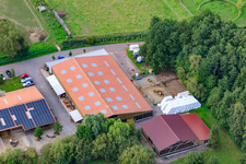Haras islandais de Bienwald à Freckenfeld dans le département Rhénanie-Palatinat, Allemagne depuis l'avion