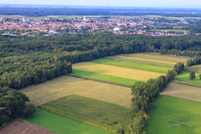 Vue aérienne de Plaines de Bruchbach-Otterbach à Kandel dans le département Rhénanie-Palatinat, Allemagne